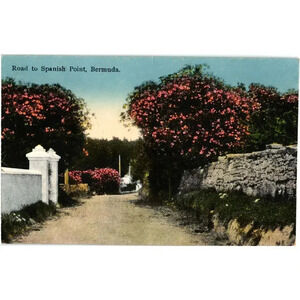 No. 121 Road To Spanish Point, Bermuda Postcard